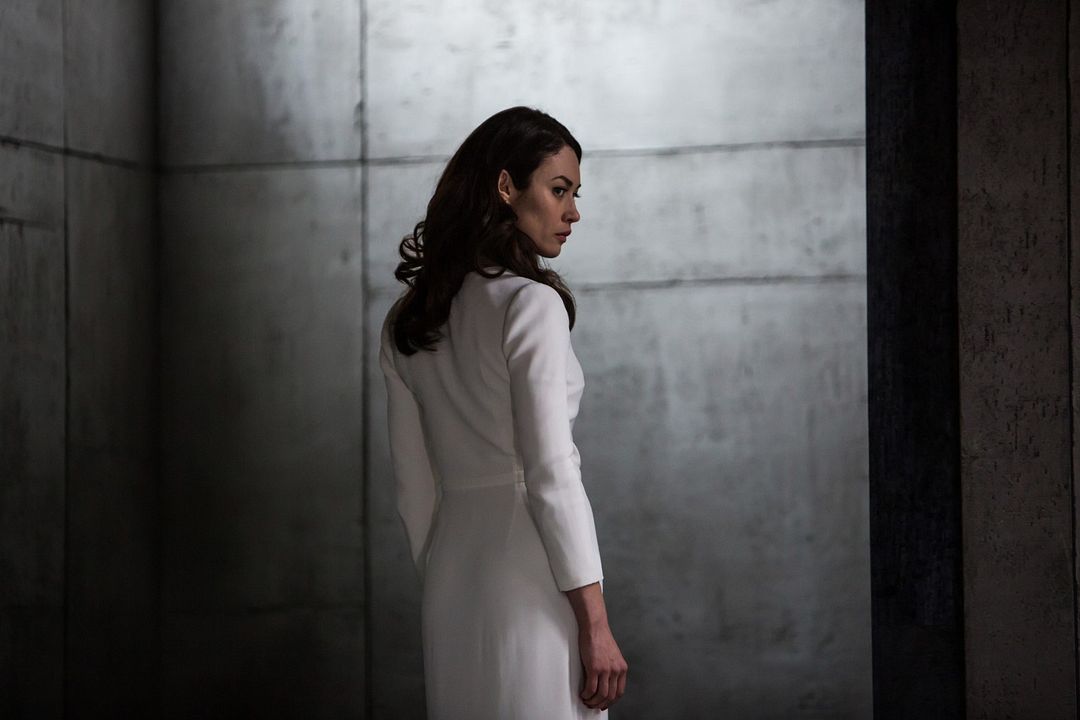 Los traductores : Foto