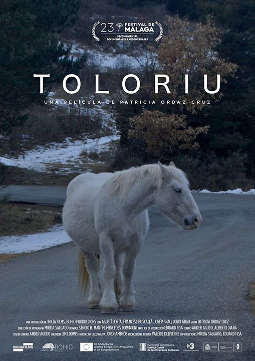 Toloriu : Póster