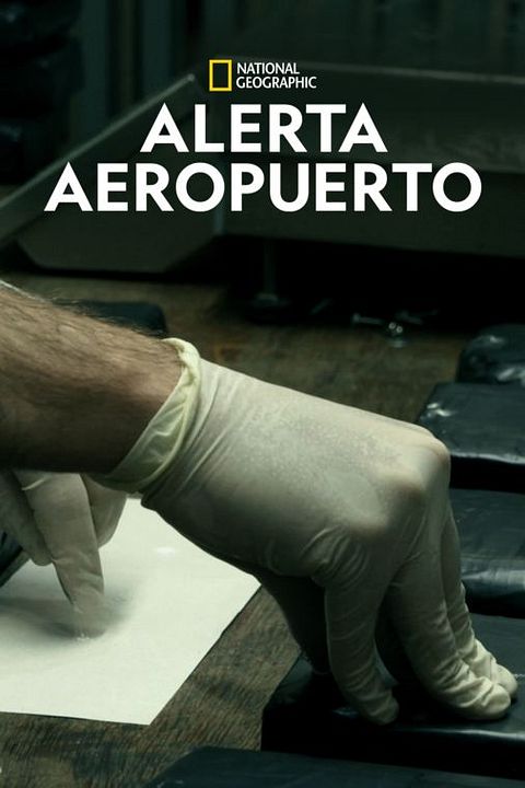 Alerta Aeropuerto : Póster