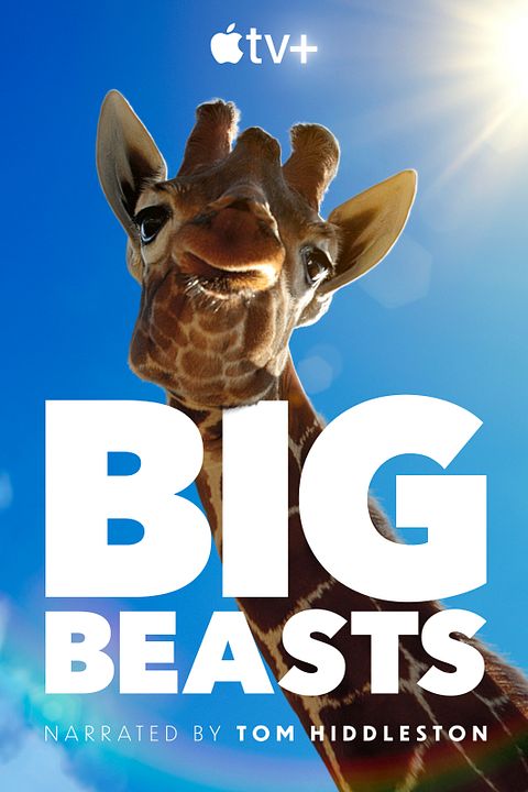 Big Beasts : Póster