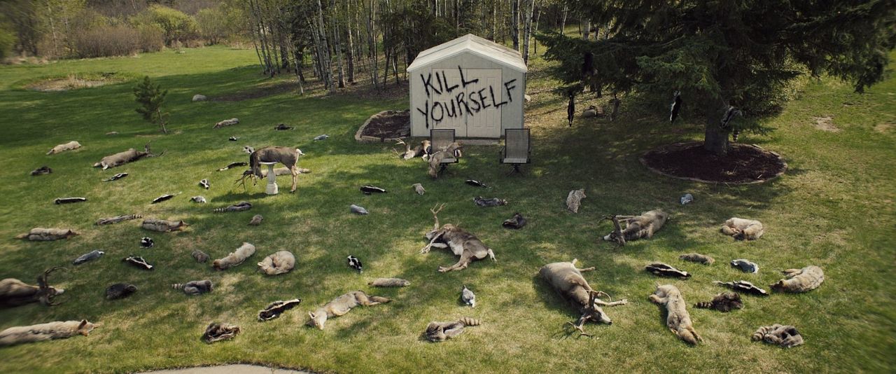 The Harbinger : Foto