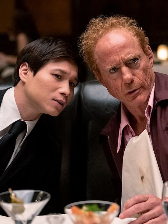 El Simpatizante : Póster