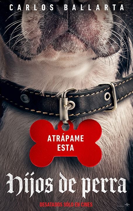 Hijos de perra : Póster