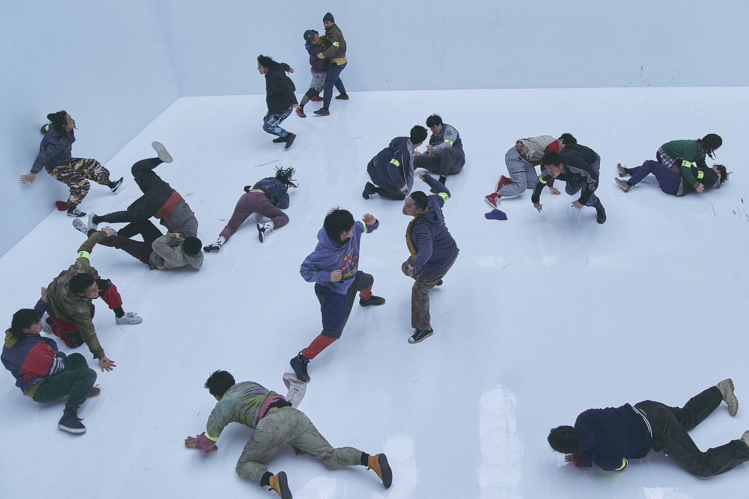 Caballero negro : Foto