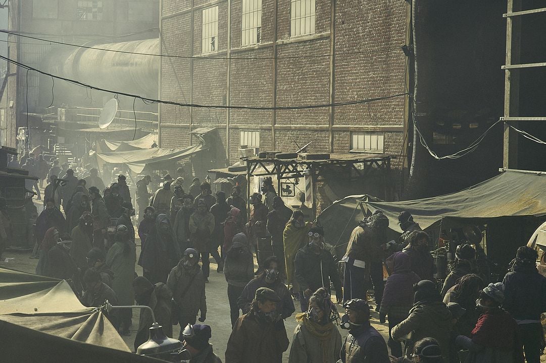 Caballero negro : Foto