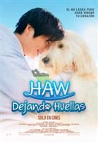 Haw, dejando huellas : Póster