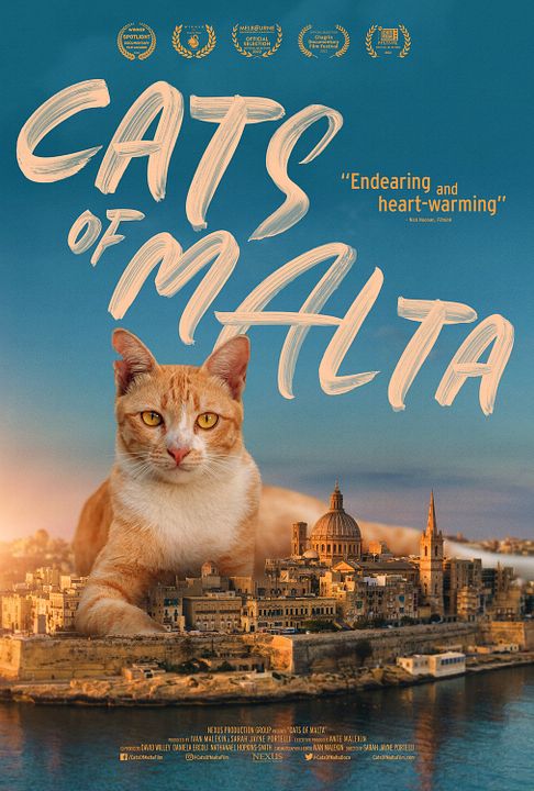 Cats Of Malta : Póster