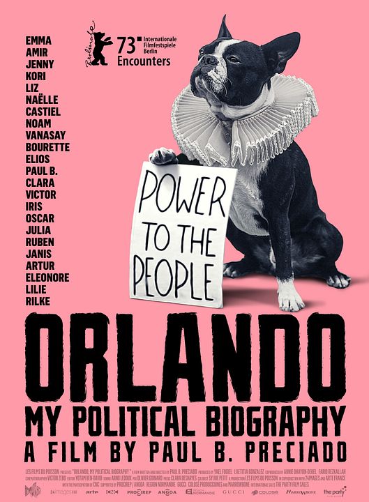 Orlando, mi biografía política : Póster