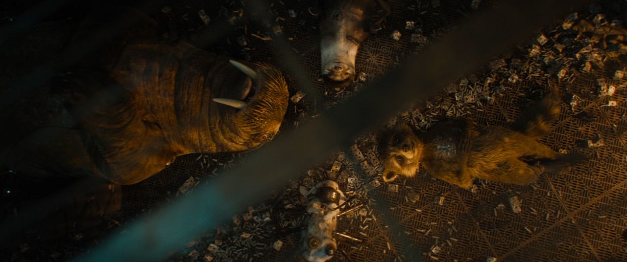 Guardianes de la galaxia Vol. 3 : Foto