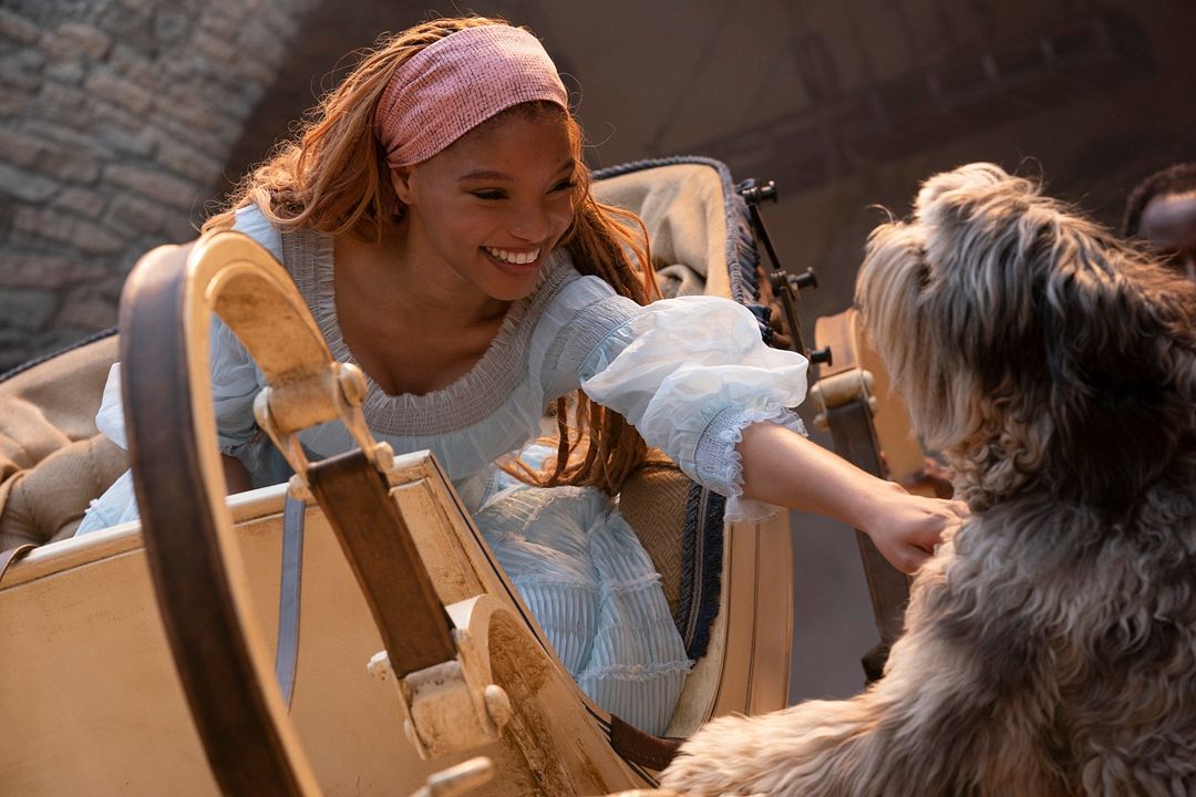 La sirenita : Foto Halle Bailey