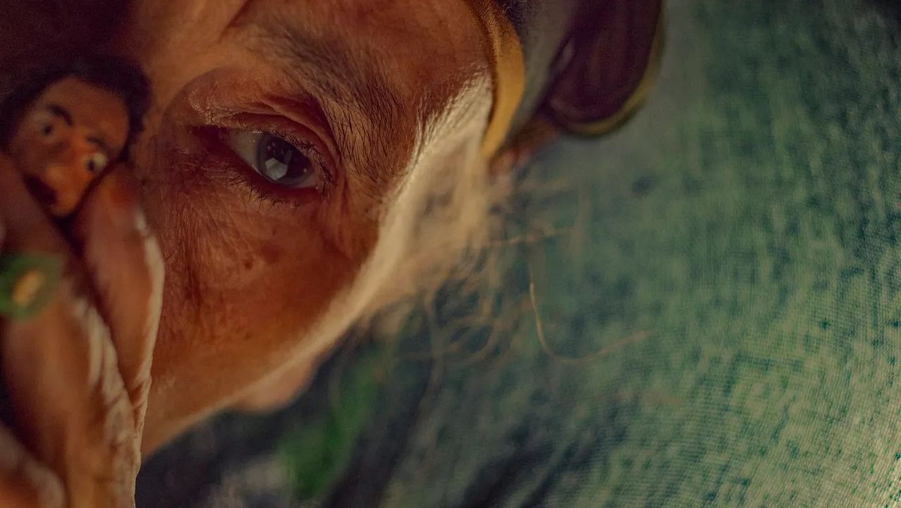 The Mother of All Lies : Foto