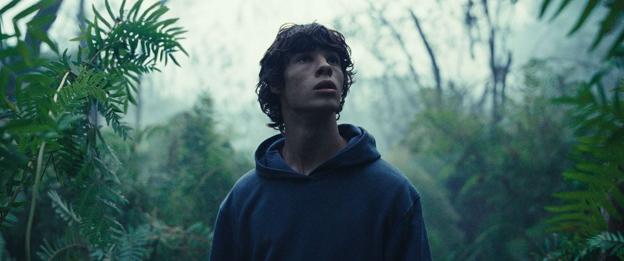 Criaturas Asombrosas : Foto Paul Kircher