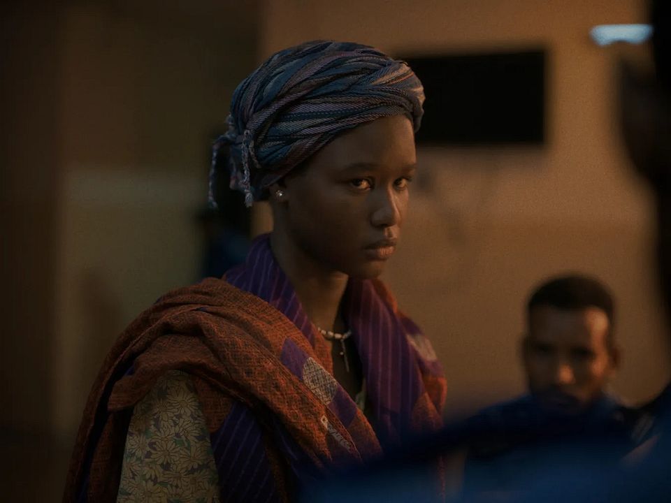 Wadaean Julia : Foto