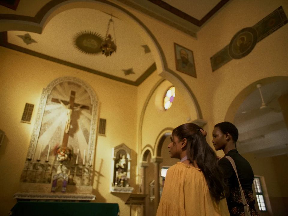 Wadaean Julia : Foto