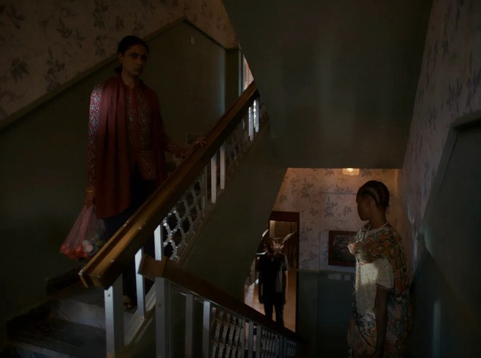 Wadaean Julia : Foto