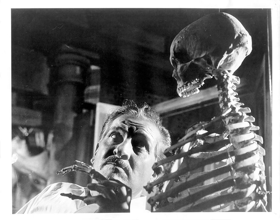 El esqueleto de la señora Morales : Foto