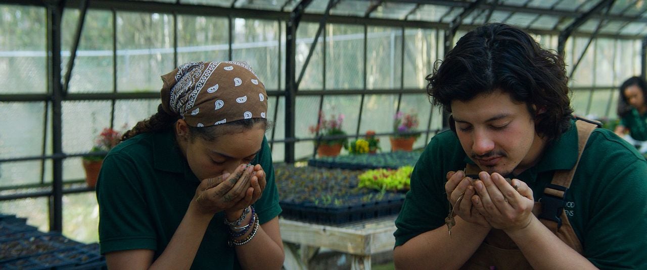 El Maestro Jardinero : Foto Quintessa Swindell