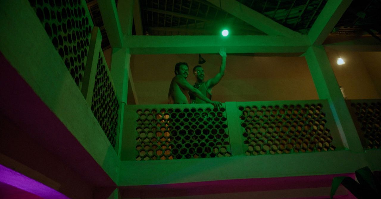 Rotting in the Sun : Foto