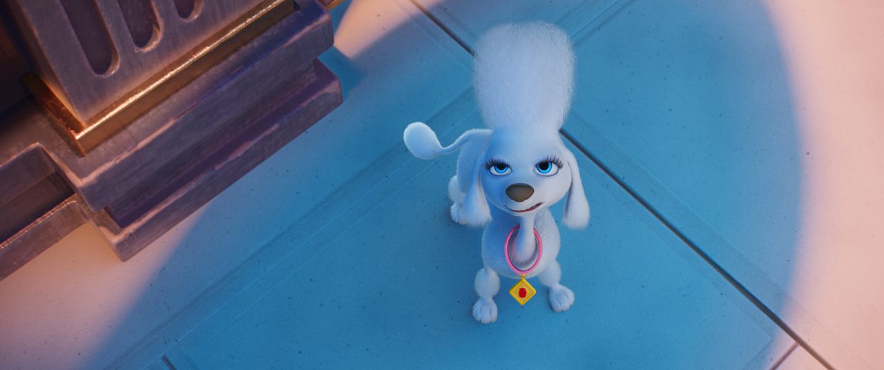 Paw Patrol: La súper película : Foto