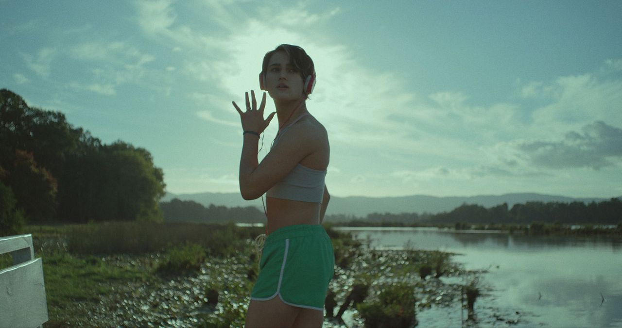 La vaca que cantó una canción sobre el futuro : Foto