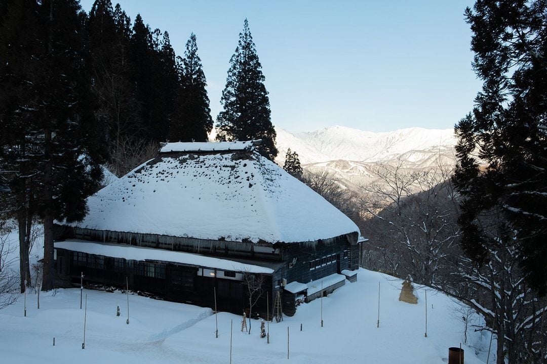 The Zen Diaries : Foto