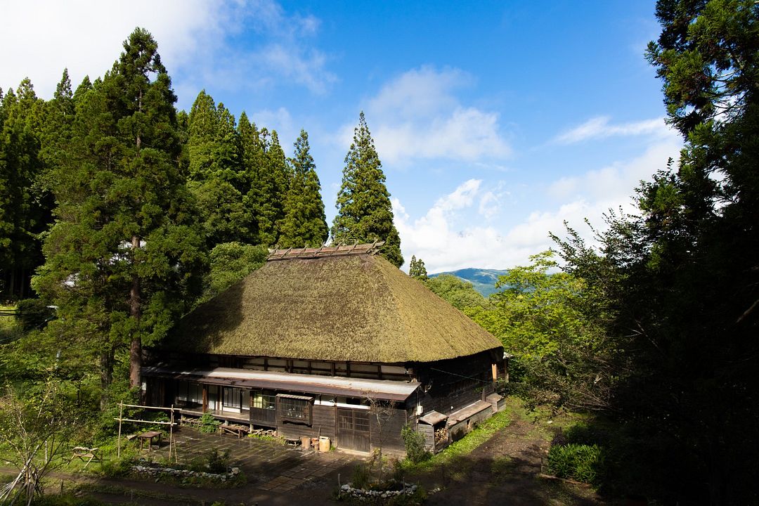 The Zen Diaries : Foto