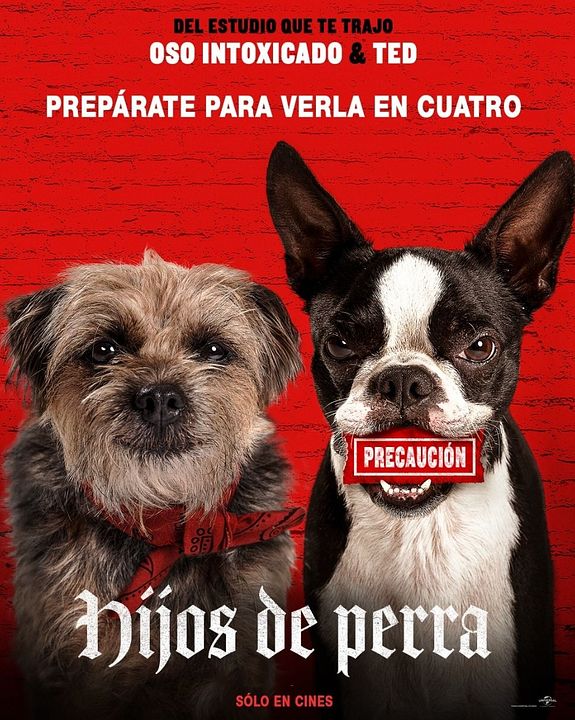 Hijos de perra : Póster