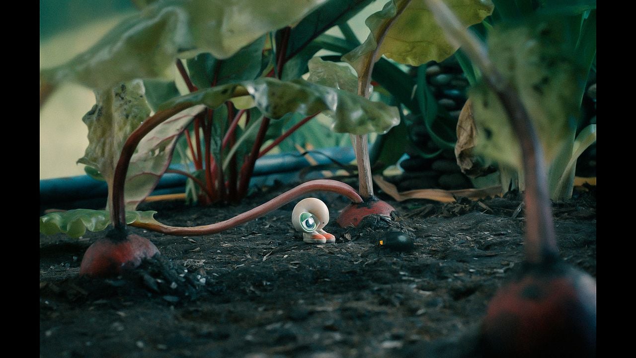 Marcel The Shell With Shoes On : Foto