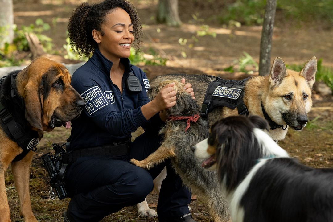 Hijos de perra : Foto