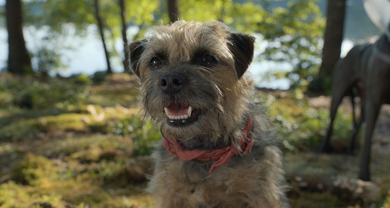 Hijos de perra : Foto