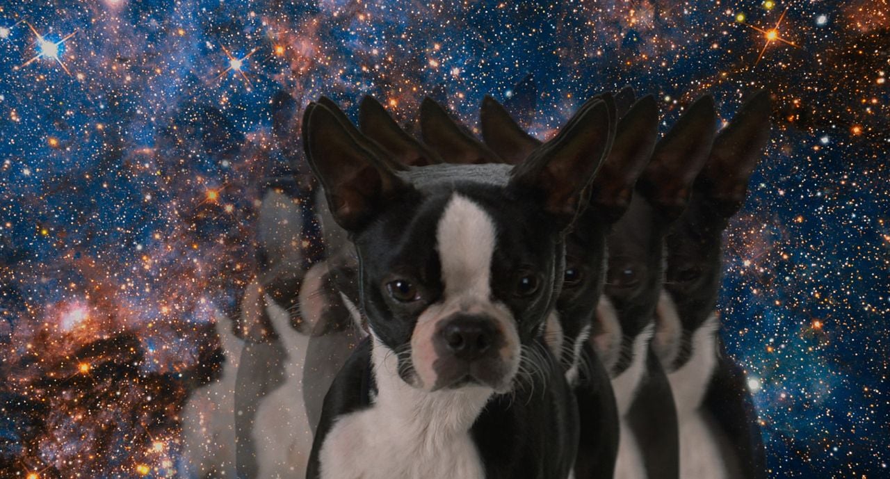 Hijos de perra : Foto