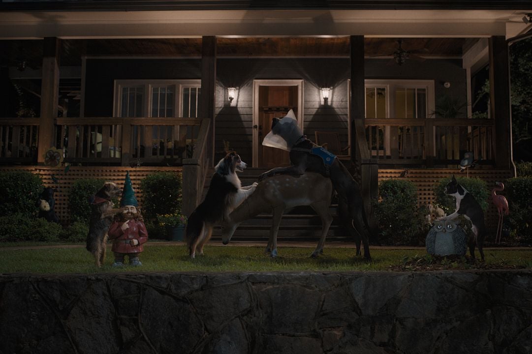 Hijos de perra : Foto