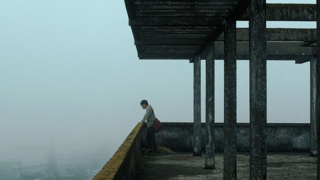 Inside the Yellow Cocoon Shell : Foto