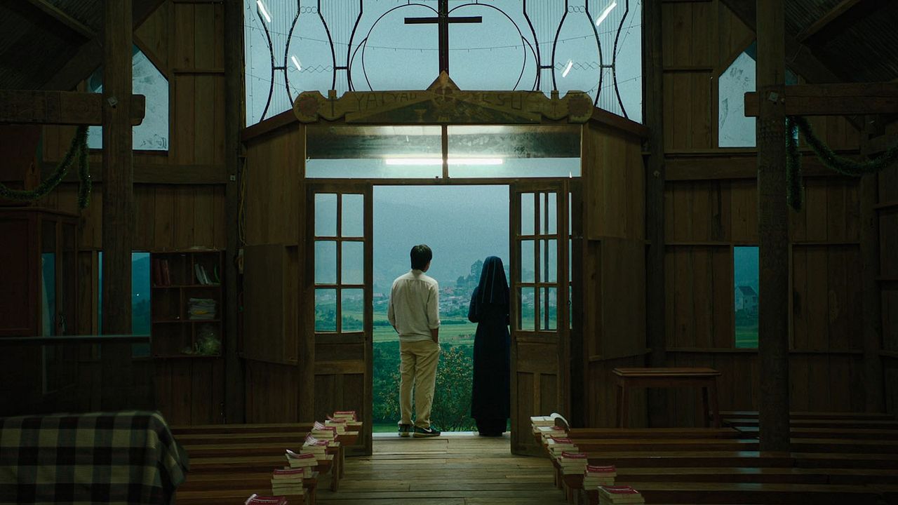 Inside the Yellow Cocoon Shell : Foto