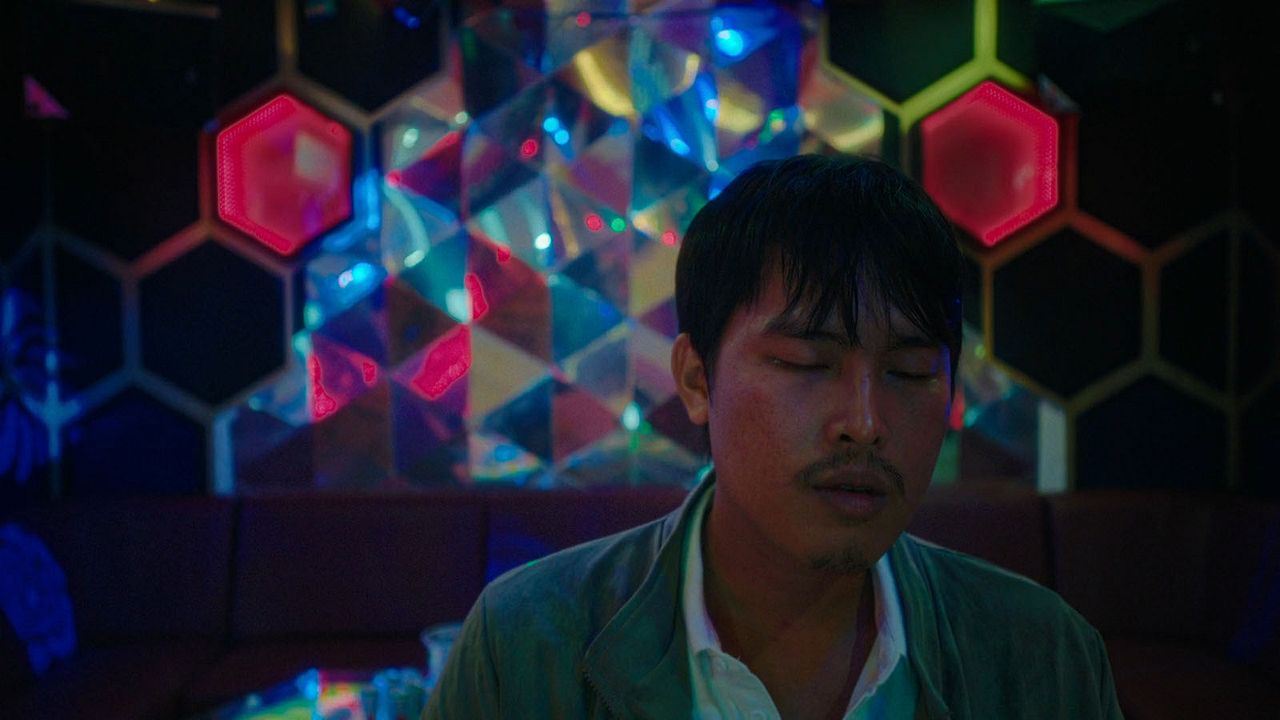 Inside the Yellow Cocoon Shell : Foto