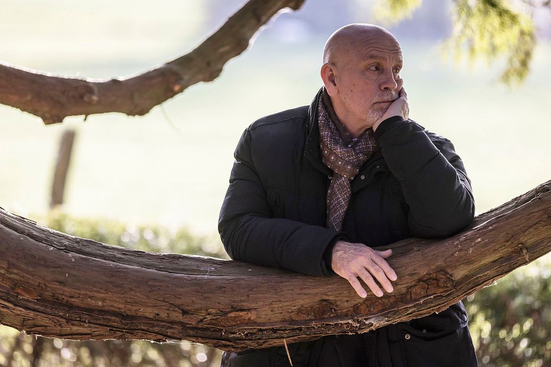 El Sr. Blake, a sus órdenes : Foto John Malkovich