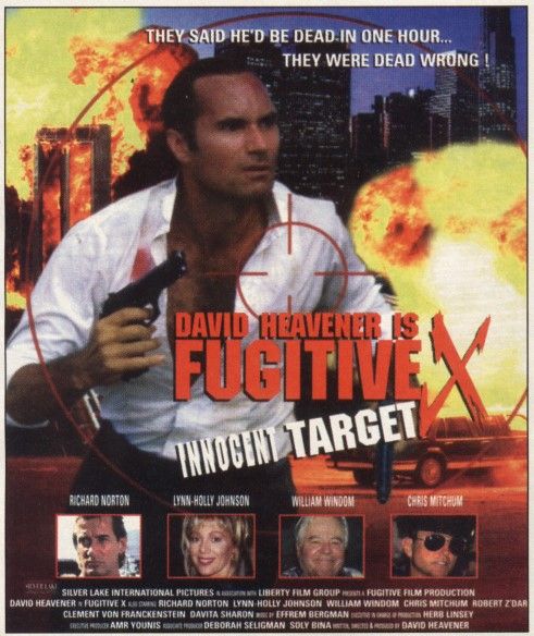 Fugitive X: Innocent Target : Póster
