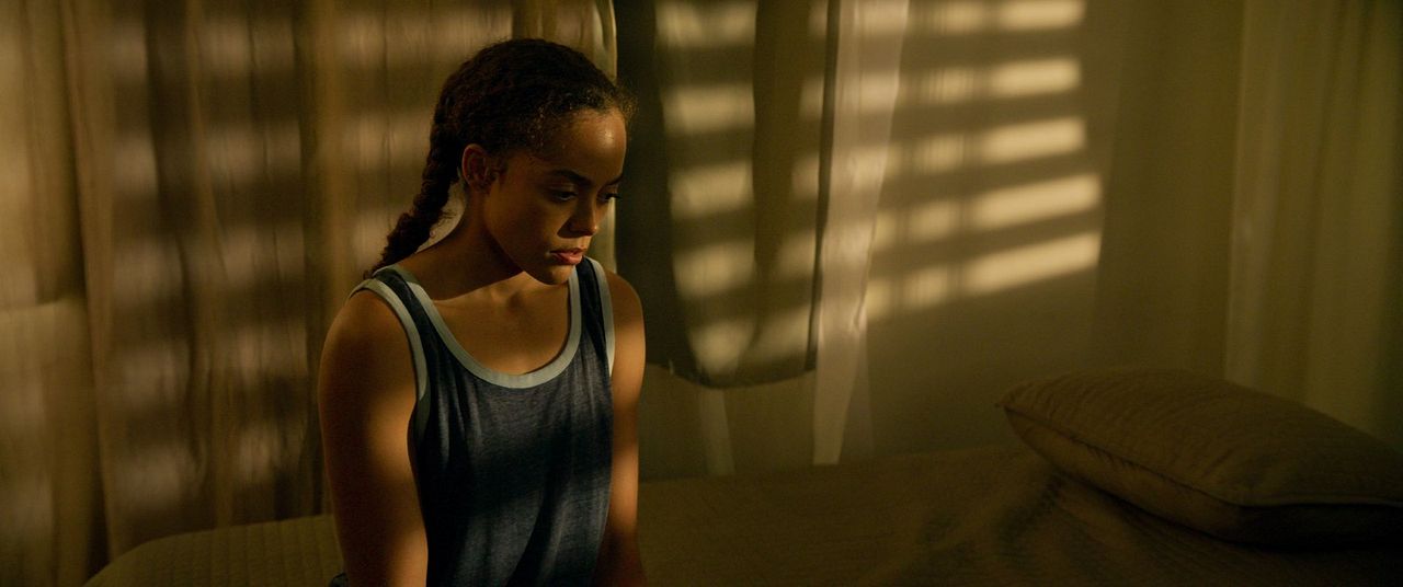 El Maestro Jardinero : Foto