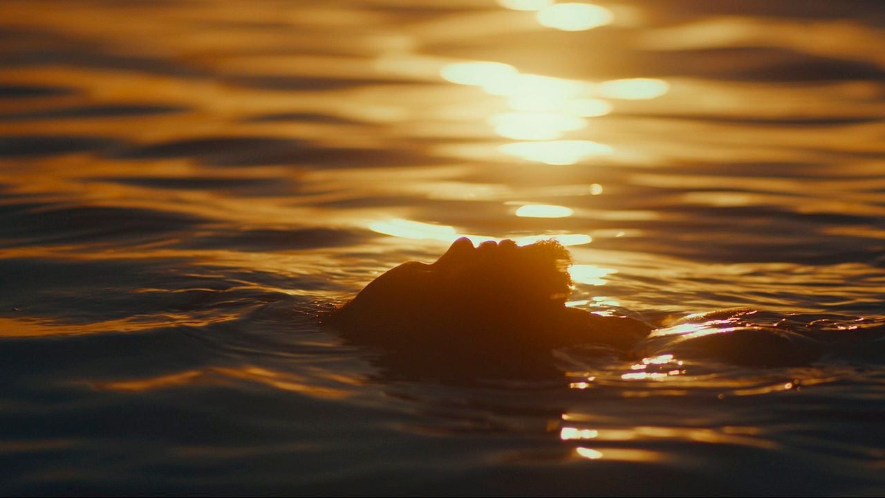 Estranho Caminho : Foto