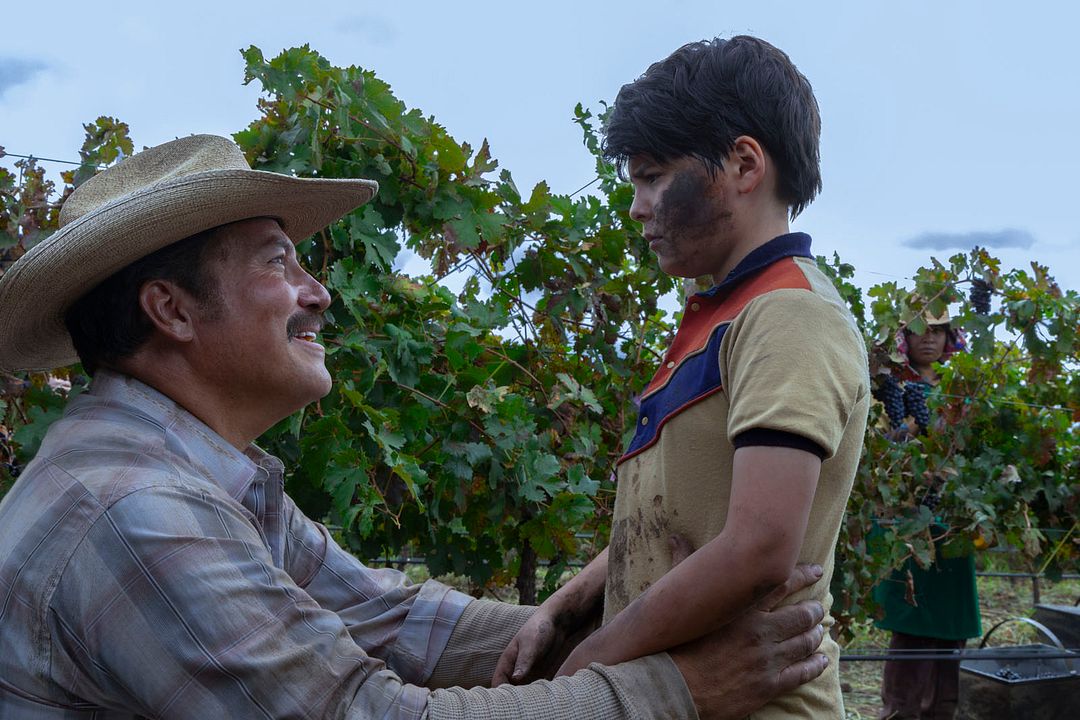 A Millones de Kilómetros : Foto Julio Cesar Cedillo