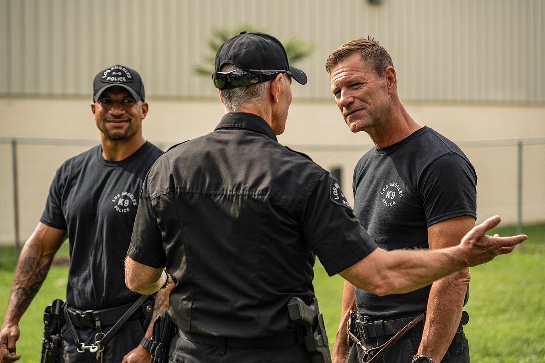 Perro guardián : Foto