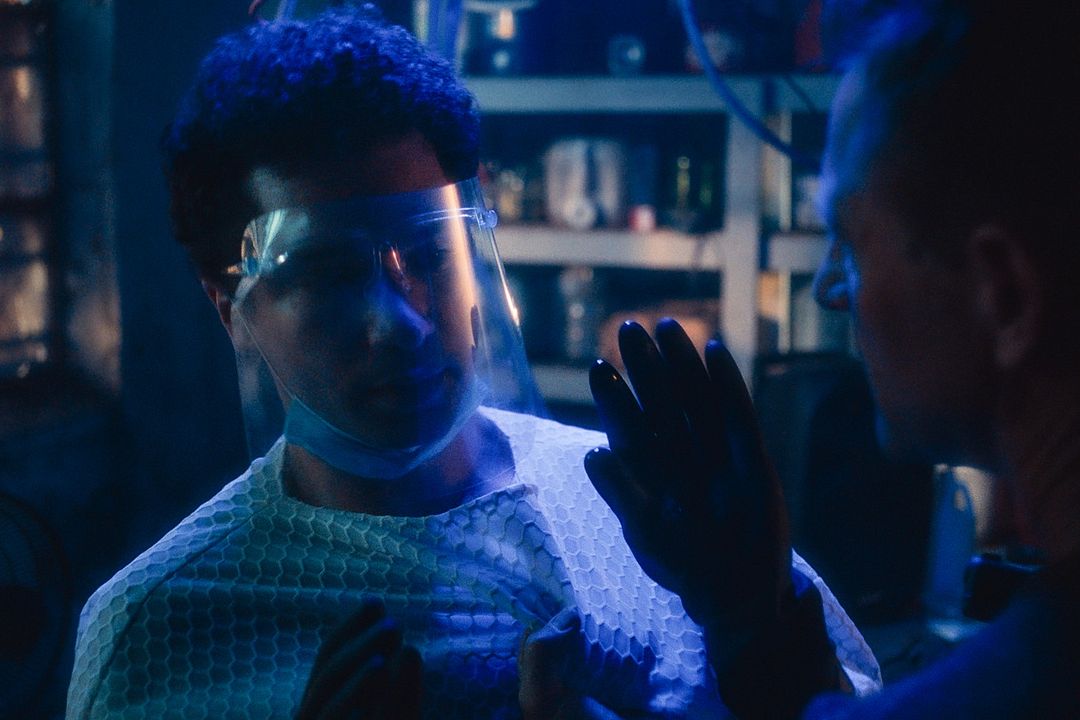 Perro guardián : Foto