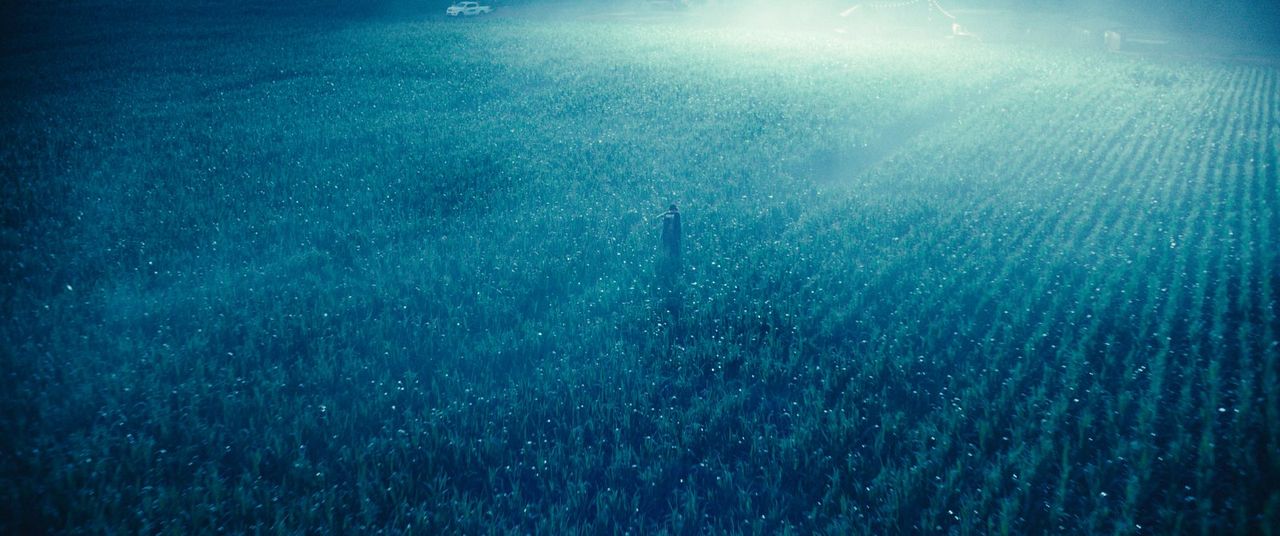 Criaturas Asombrosas : Foto