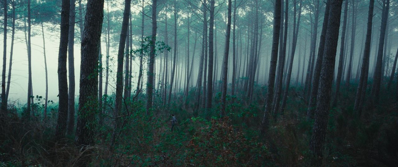 Criaturas Asombrosas : Foto