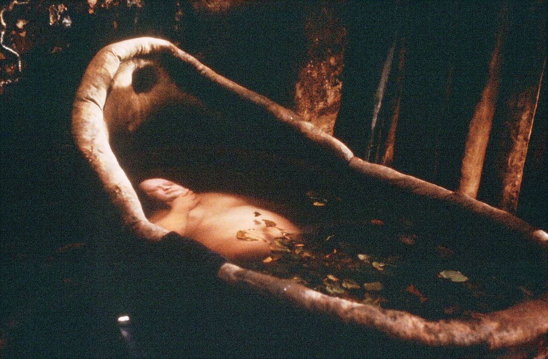 El nombre de la rosa : Foto