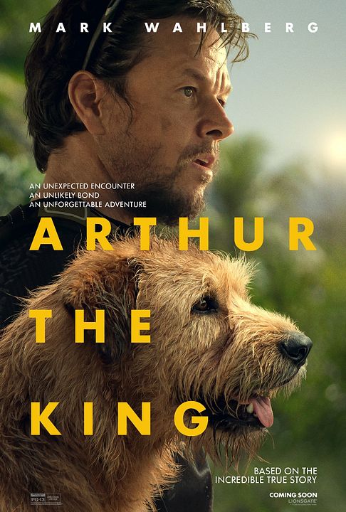 Arthur: Una Amistad Sin Limites : Póster