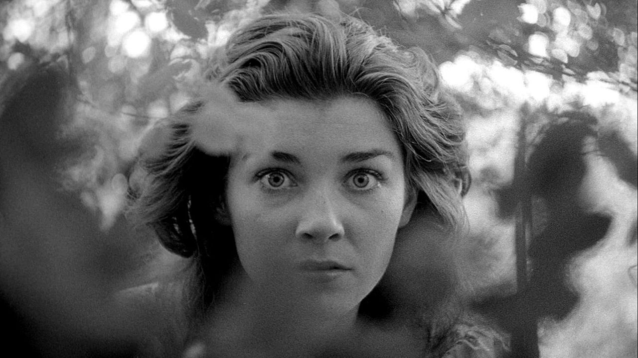 Fear and Desire : Foto