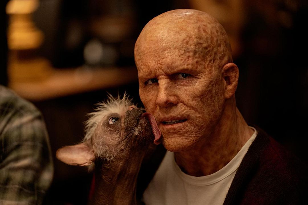 Deadpool & Wolverine : Foto Ryan Reynolds