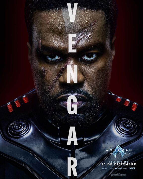 Aquaman y el reino perdido : Póster