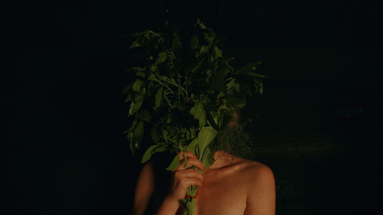 Sororidad del sauna de humo : Foto